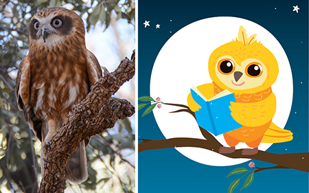 boobook owl and 1000 Books Before School illustration