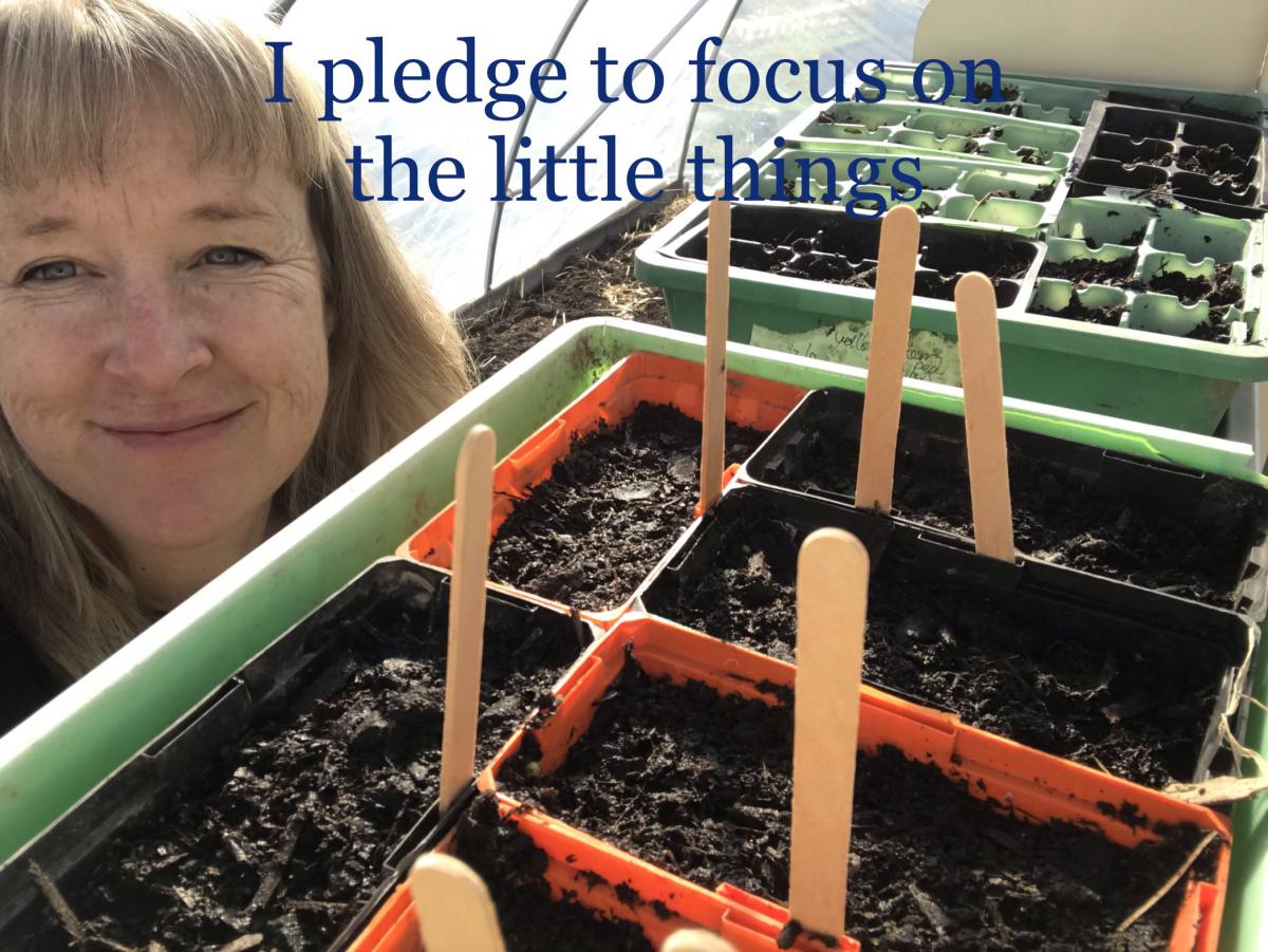 I pledge to focus on the little things