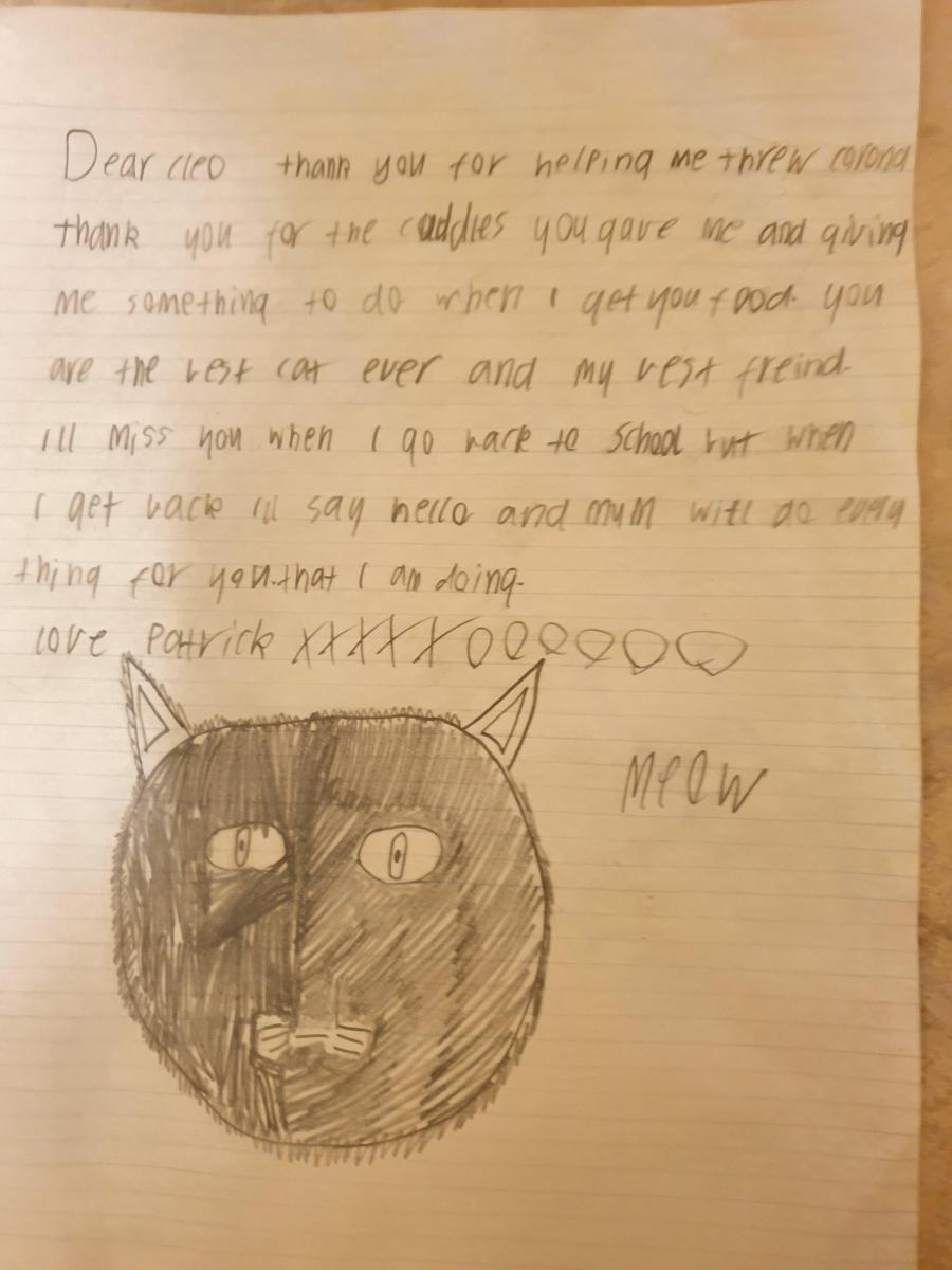 thank you letter to the cat