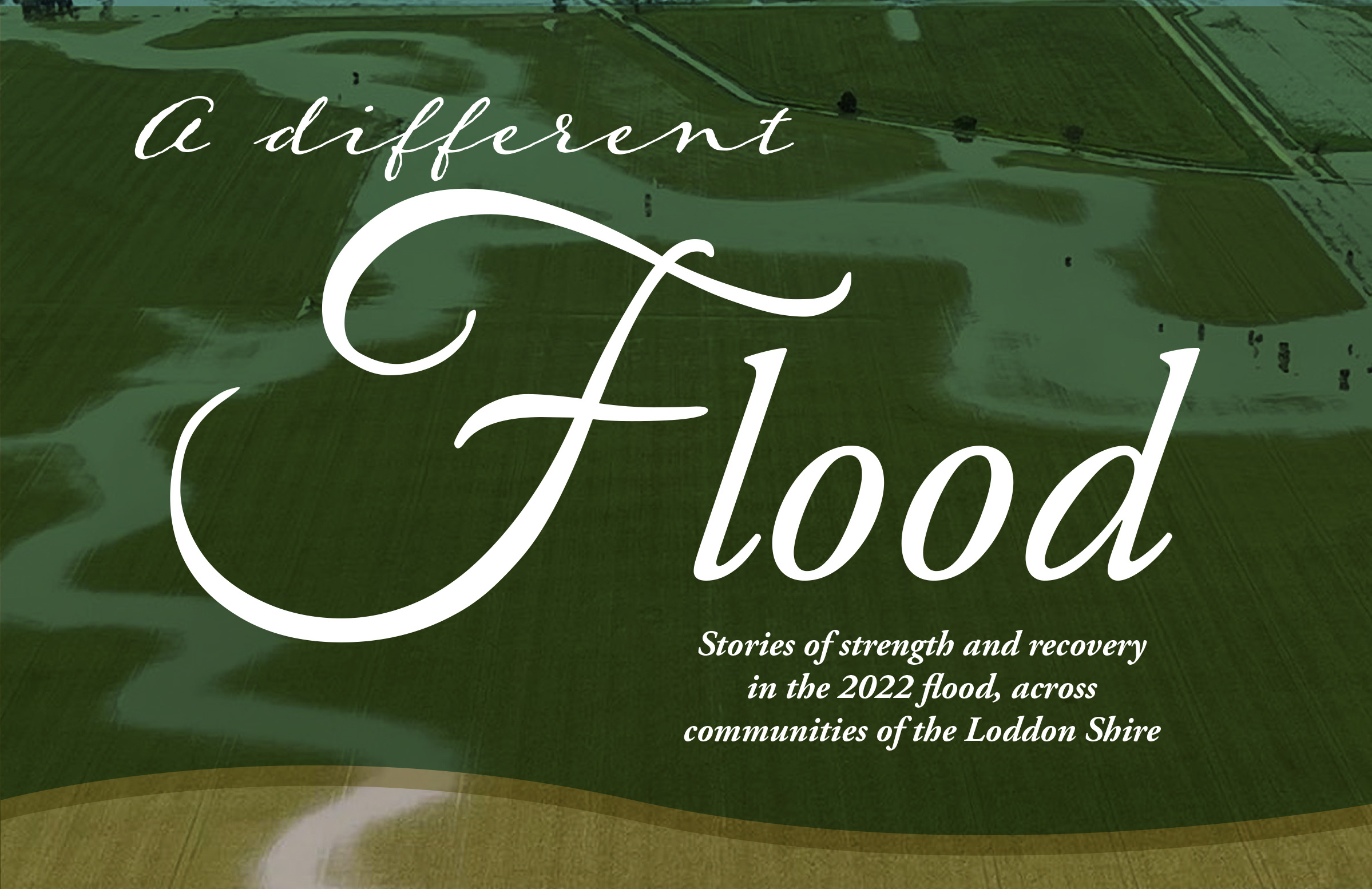 Cover image of the book, A Different Flood.